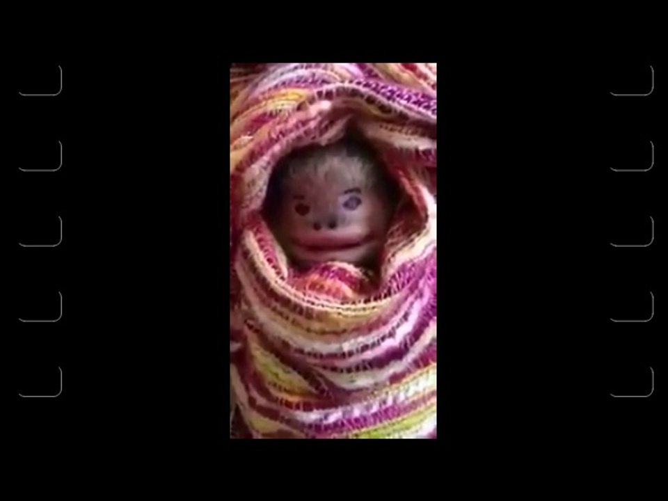 A Monster caught in village