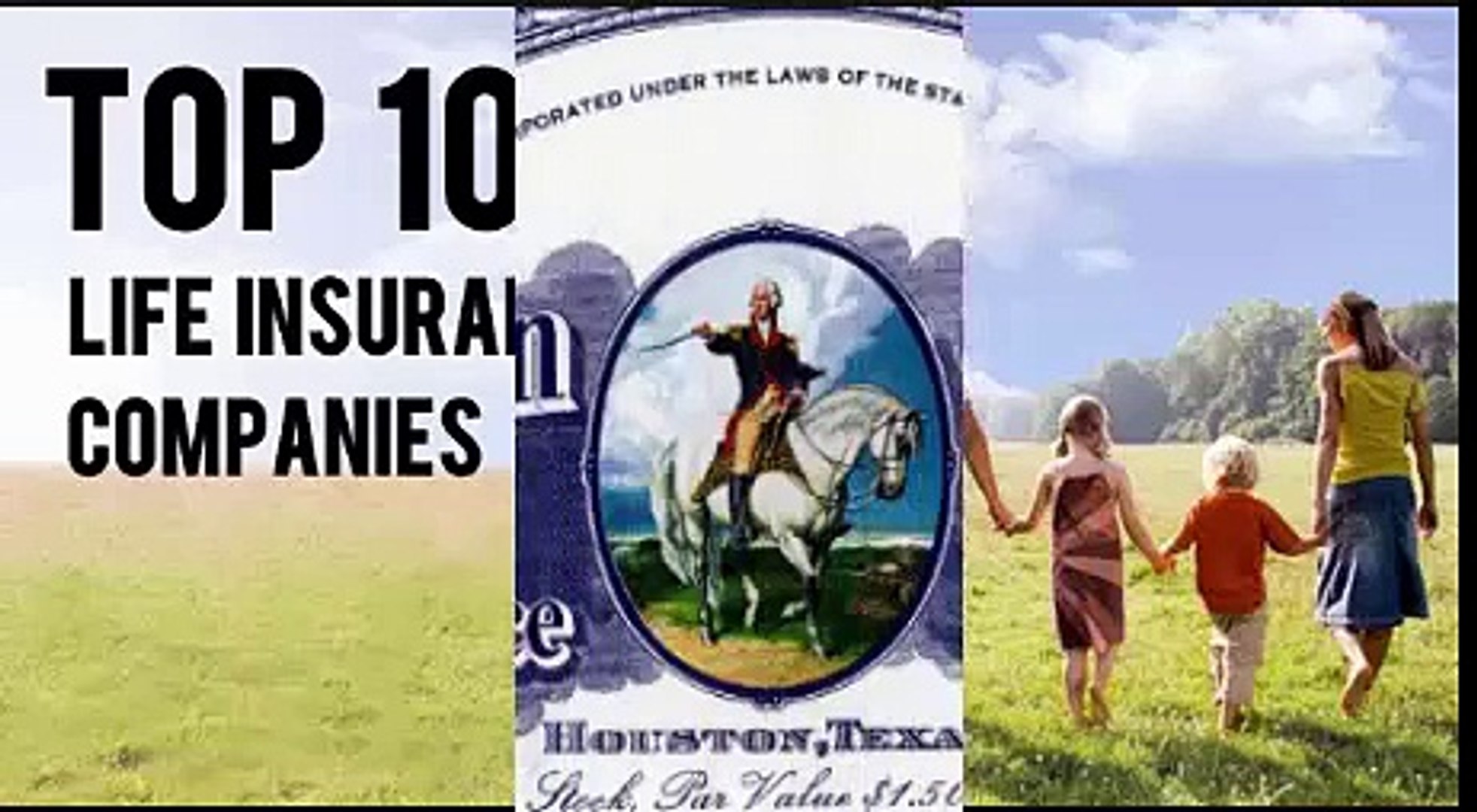 Top 10 Best Life Insurance Companies in the United States