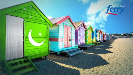 Ferry Paints TVC (English.Urdu Version)