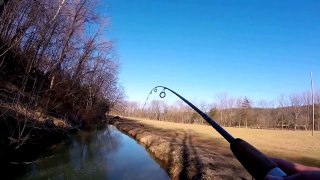 Giant Trout!!!!! Trout fishing trip 02/27/16