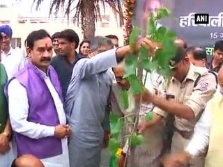 Hariyali Mahotsav commences, MP CM plants sapling