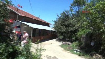 Kocaeli Alevlerin Arasında Kalan İneklerini Kurtardı