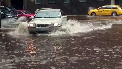 Cet automobiliste sort de sa voiture pour sauver un chaton coincé dans une inondation !