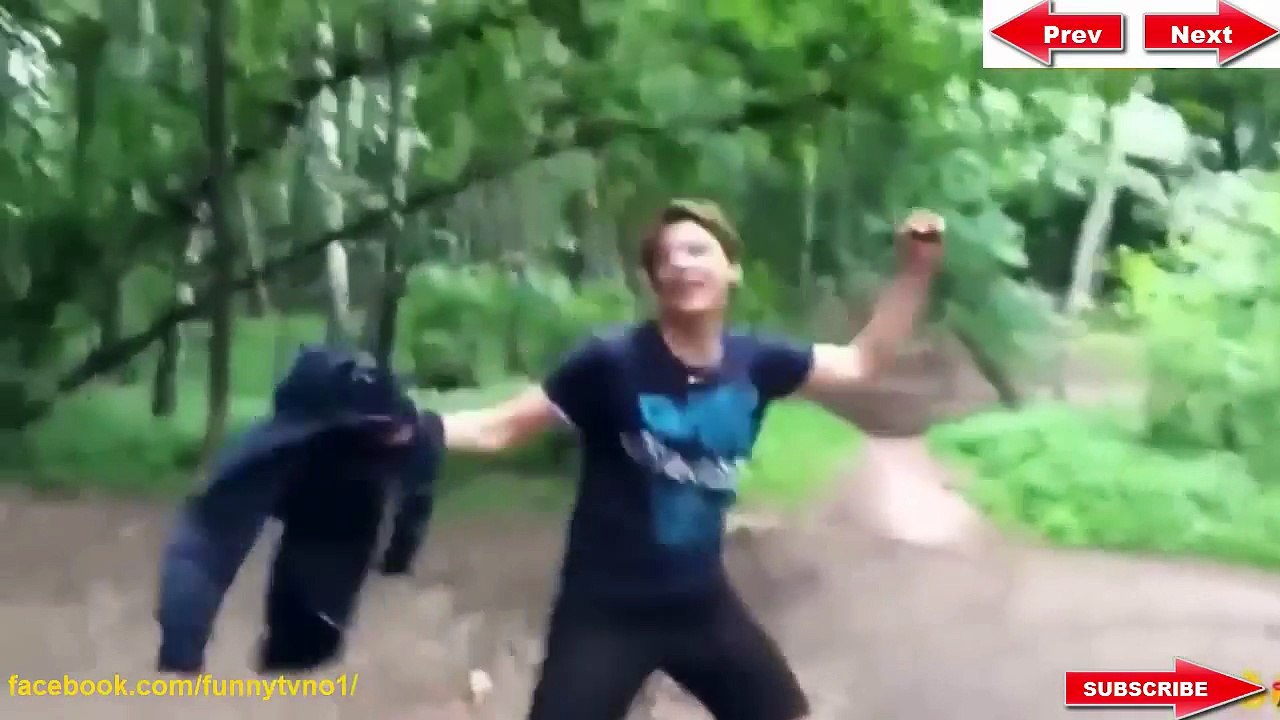 funny video 2016