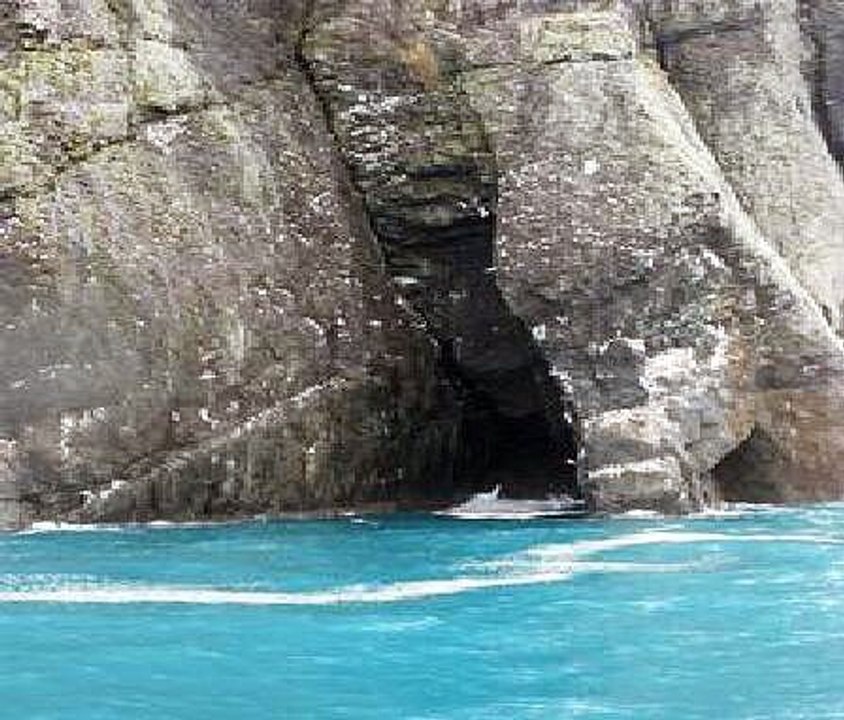 Kenai Fjords National Park Bing Summer Road Trip