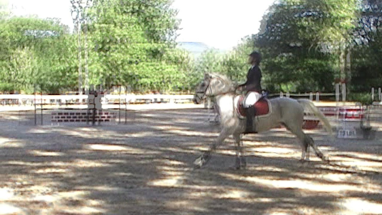 CSO Montélimar le 15.07.2016 - Prépa 95