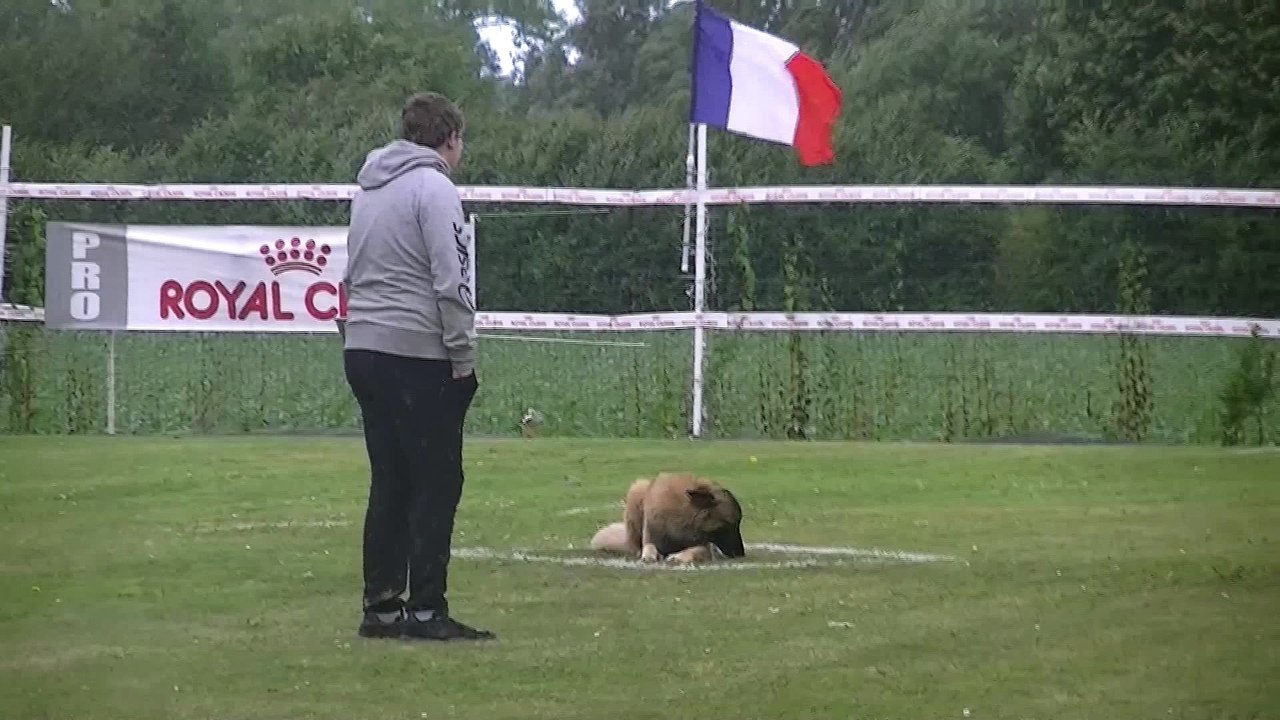 appâts