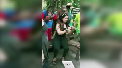 She Posed With Grinning Ape Grabbed Her Boobs!This Tourist Got The Shock Of Her Life!