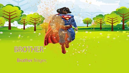 The Secret Life Of Pets Full Episode 8 - Nursery Rhymes For Children  Kids Song