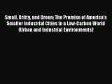 Enjoyed read Small Gritty and Green: The Promise of America's Smaller Industrial Cities in