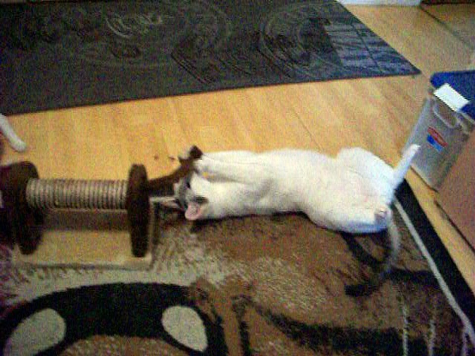 Harvey und Vinzent am 15.07.2016