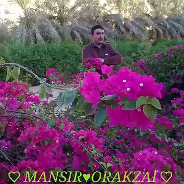 Bahram Jan New Very Sweet Tapey 2016 Pa Ashiqano De Salam