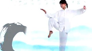 Taichi Chen style 22 forms routine.DAT