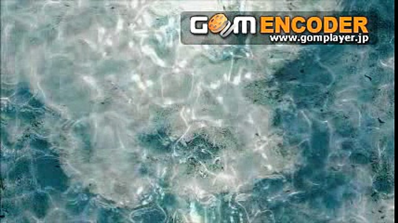 サラ ブランドナー 動画 動画 Dailymotion