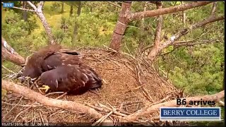 2016 05 25 Berry College Eagles:  The Twins Tussle