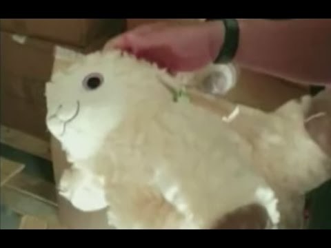 Genova - Giocattoli pericolosi, sequestrati 32mila peluche contraffatti (15.07.16)