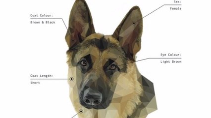 DNA Tests Will Out Dog Owners Who Don't Clean Up Their Poo