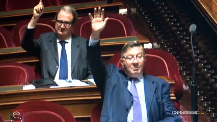 Conflit Taxis/VTC : une loi pour tout régler ? Pas sûr... (reportage vidéo)