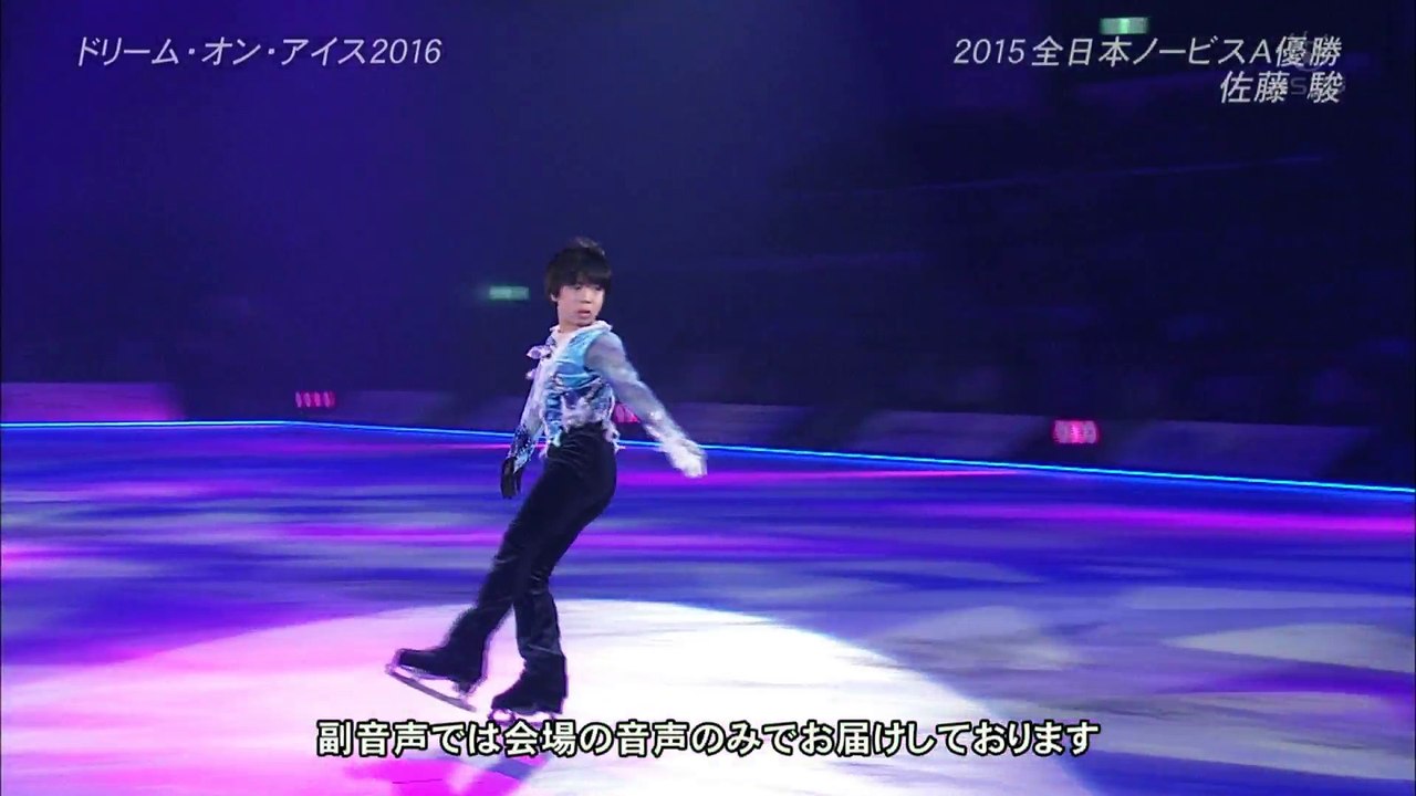 DOI2016 Shun Sato