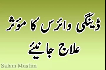 Daingi Wires macher ka ilaaj--ڈینگی وائرس کا مؤثر علاج جانیئے