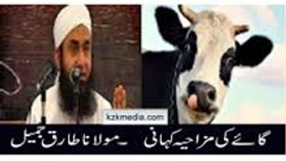 Maulana Tariq Jameel Bayans-Funny Story of Cow in Mosque By Maulana Tariq Jameel 2016-Latest bayans