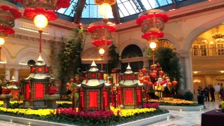 Lunar Chinese New Year Bellagio Las Vegas 2015 1-9-15