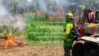Withlacoochee Gulf Preserve controlled burn  2016-04-27
