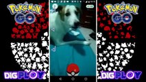 Pokémon GO Gameplay #1 - Conhecendo o jogo