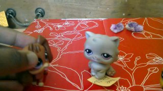 Cinderella  the Lps version:Lps girl 10 subs special!