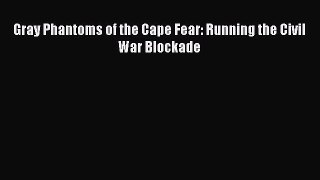 Free Full [PDF] Downlaod  Gray Phantoms of the Cape Fear: Running the Civil War Blockade#