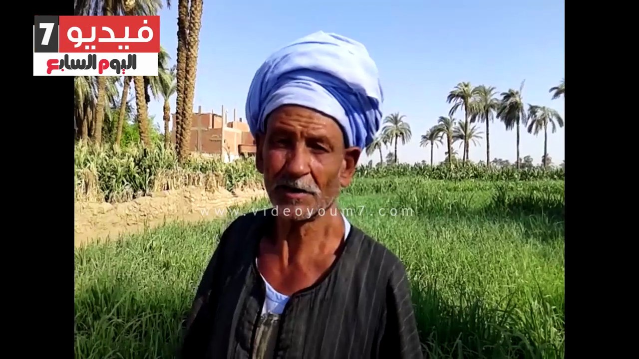 بالفيديو ..مزارعو سوهاج:غياب مياه الرى تسبب فى تلف 150 فدانا بالمحافظة