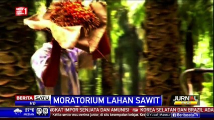 Moratorium Lahan Sawit, Kementerian LHK Tunggu Instruksi Presiden
