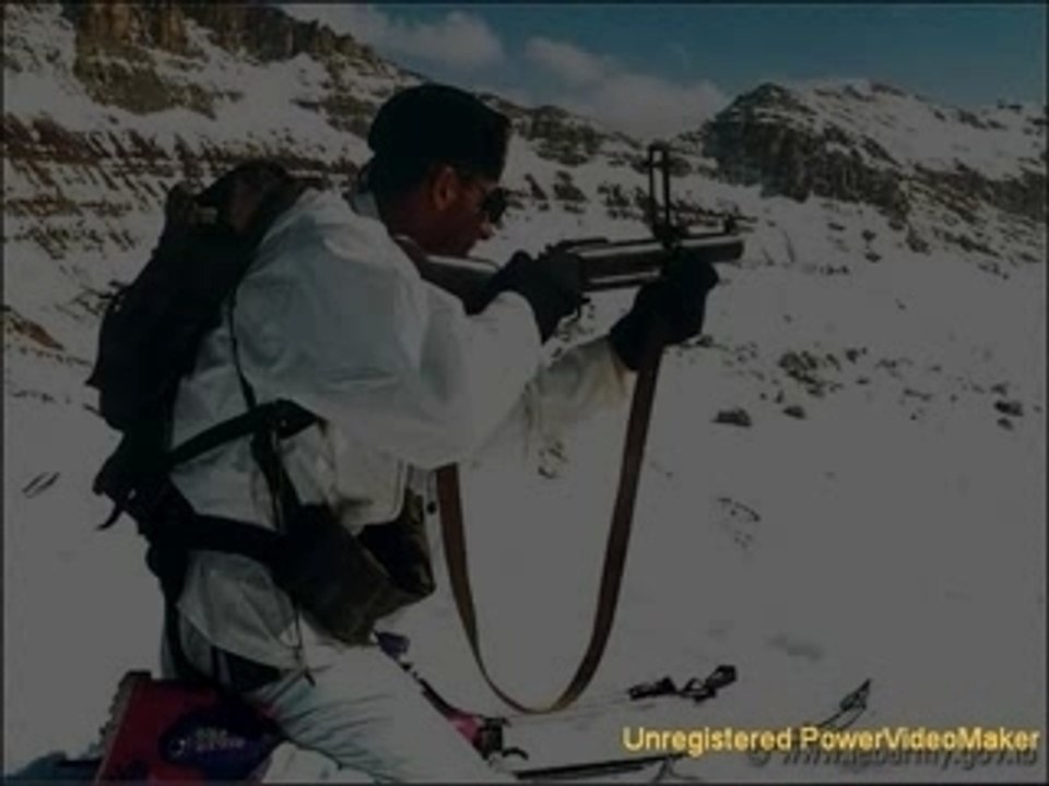 l'Armée Libanaise / lebanese Army