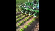 amazing agriculture technology, inter row weeder machine, new modern agriculture equipment machine