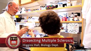 Goldwater Scholar Maria Asdourian '15: Dissecting Multiple Sclerosis