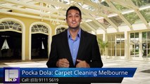 Pocka Dola: Carpet Cleaning Melbourne Lower Plenty Incredible5 Star Review by Edward C.