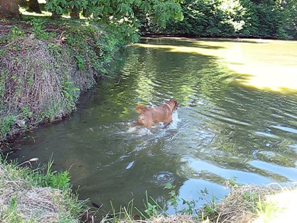 Bill et Jaska au bain
