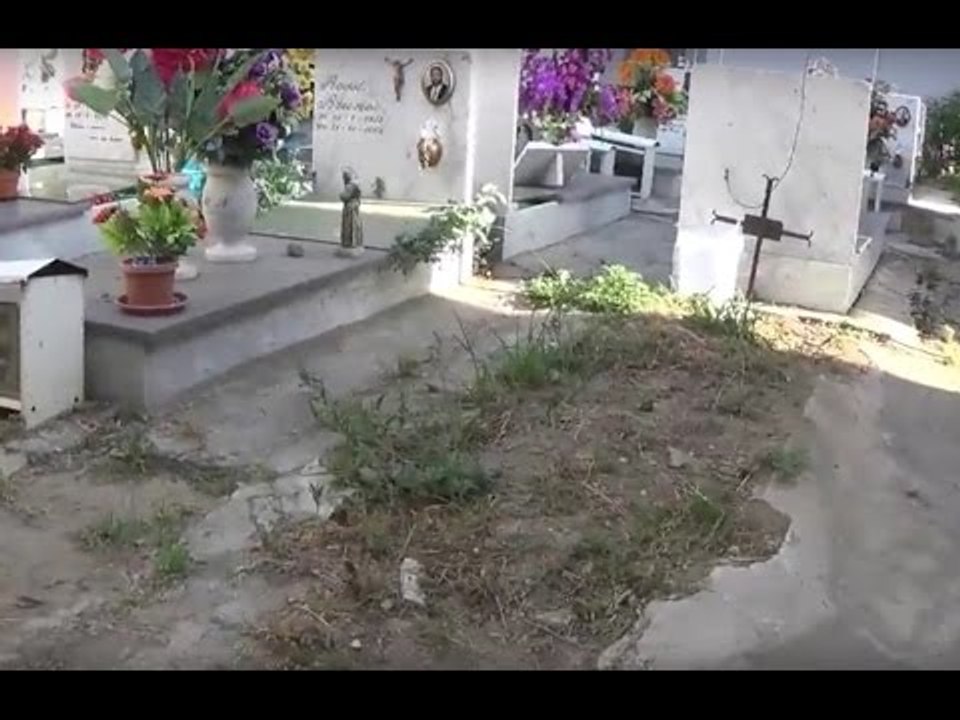 Aversa (CE) - Cimitero, dopo la protesta rimosse le erbacce al "Campo R" (15.07.16)