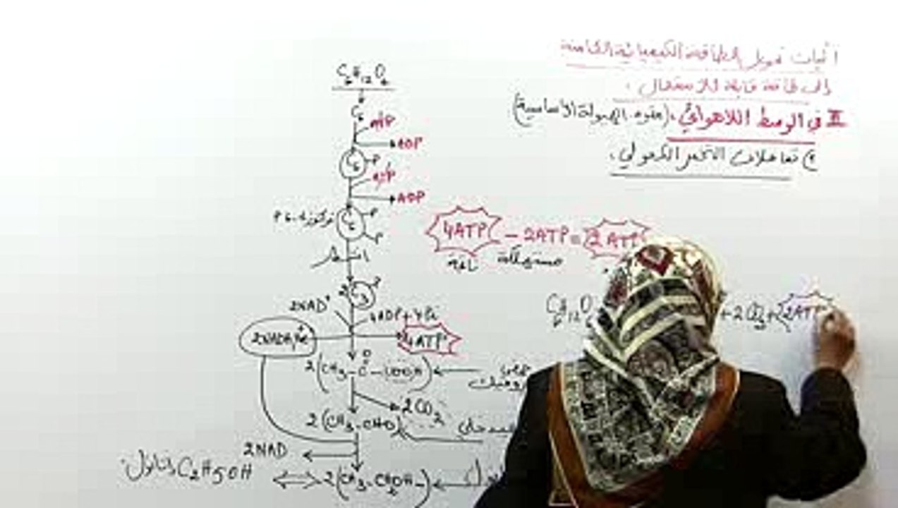 التخمر الكحولي والتخمر اللبني 2