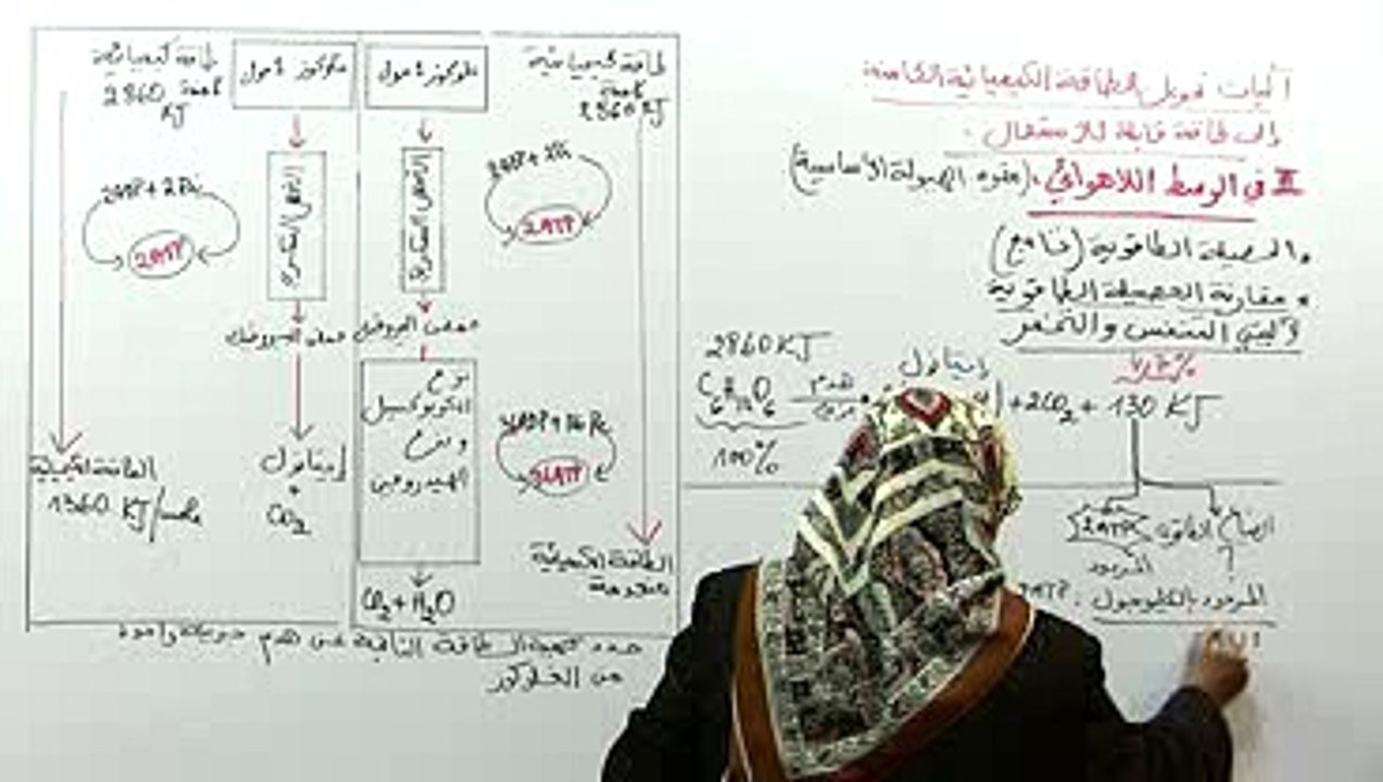 دراسة مقارنة بين آليتي التنفس والتخمر