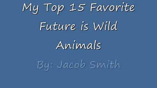My Top 15 Favorite Future is Wild Animals