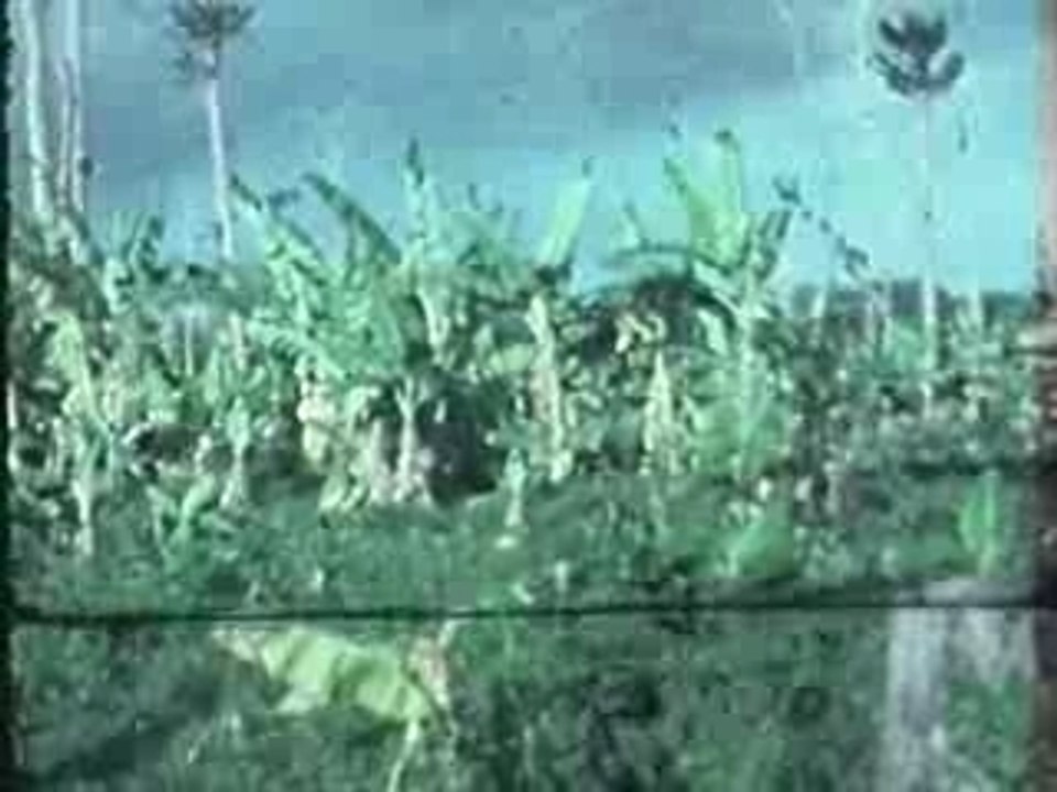 Des blancs au Gabon dans les années 60