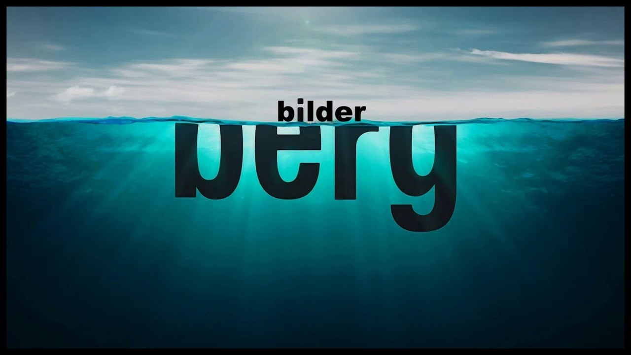 (Quelques) Leaders du Nouvel Ordre Mondial - Les participants CV (V.courte) - Conférence Bilderberg 2016