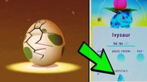 Pokemon Go Türkçe - 5 Km Yumurta Açtık Mükemmel Pokemonlar Çıktı