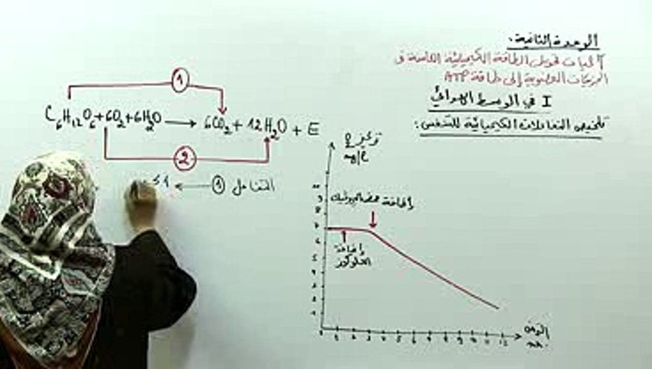 تلخيص التفاعلات الكيميائية للتنفس