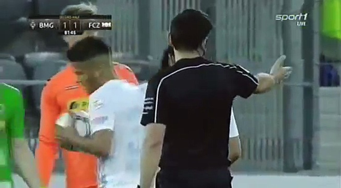 Mönchengladbach 1:2 Zürich (15 July 2016 Friendly Tournament )