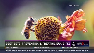 WFMY News 2: Preventing and Treating Bug Bites