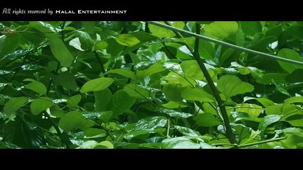 Beautiful Bengali nasheed about death