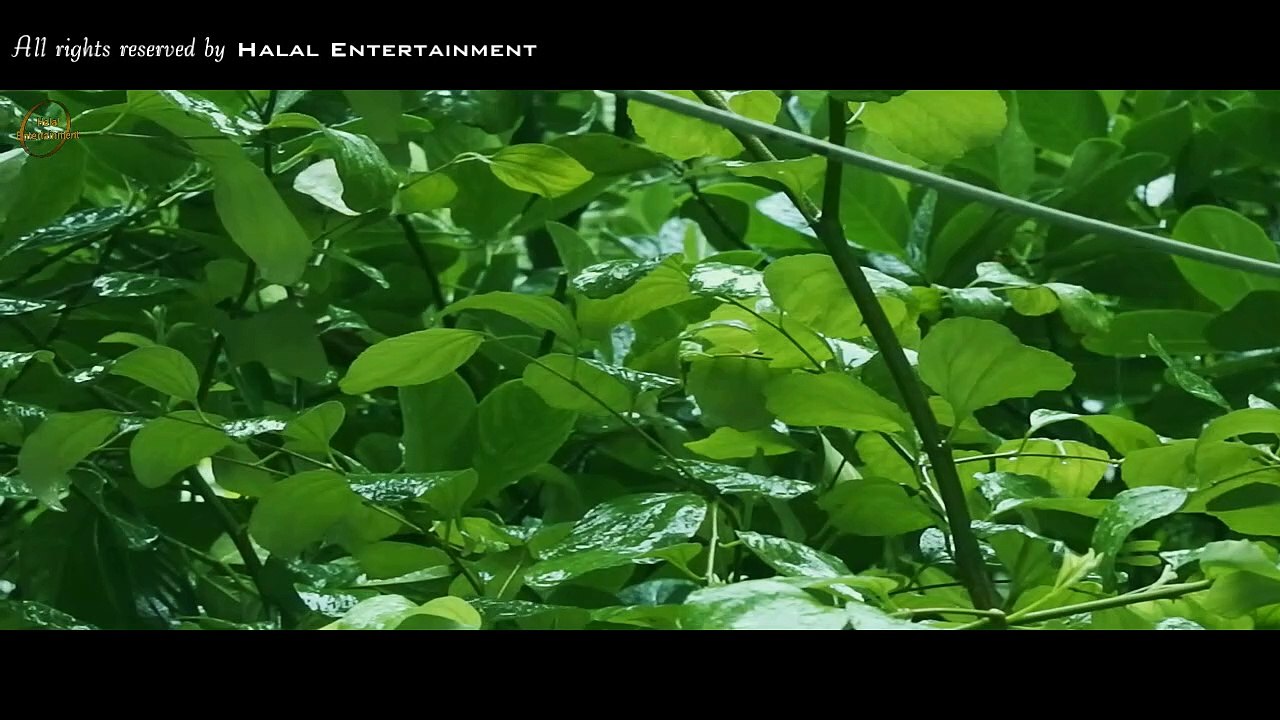 Beautiful Bengali nasheed about death