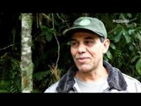 Fauna Invisível - Entrevista Luiz Avelino Ribeiro